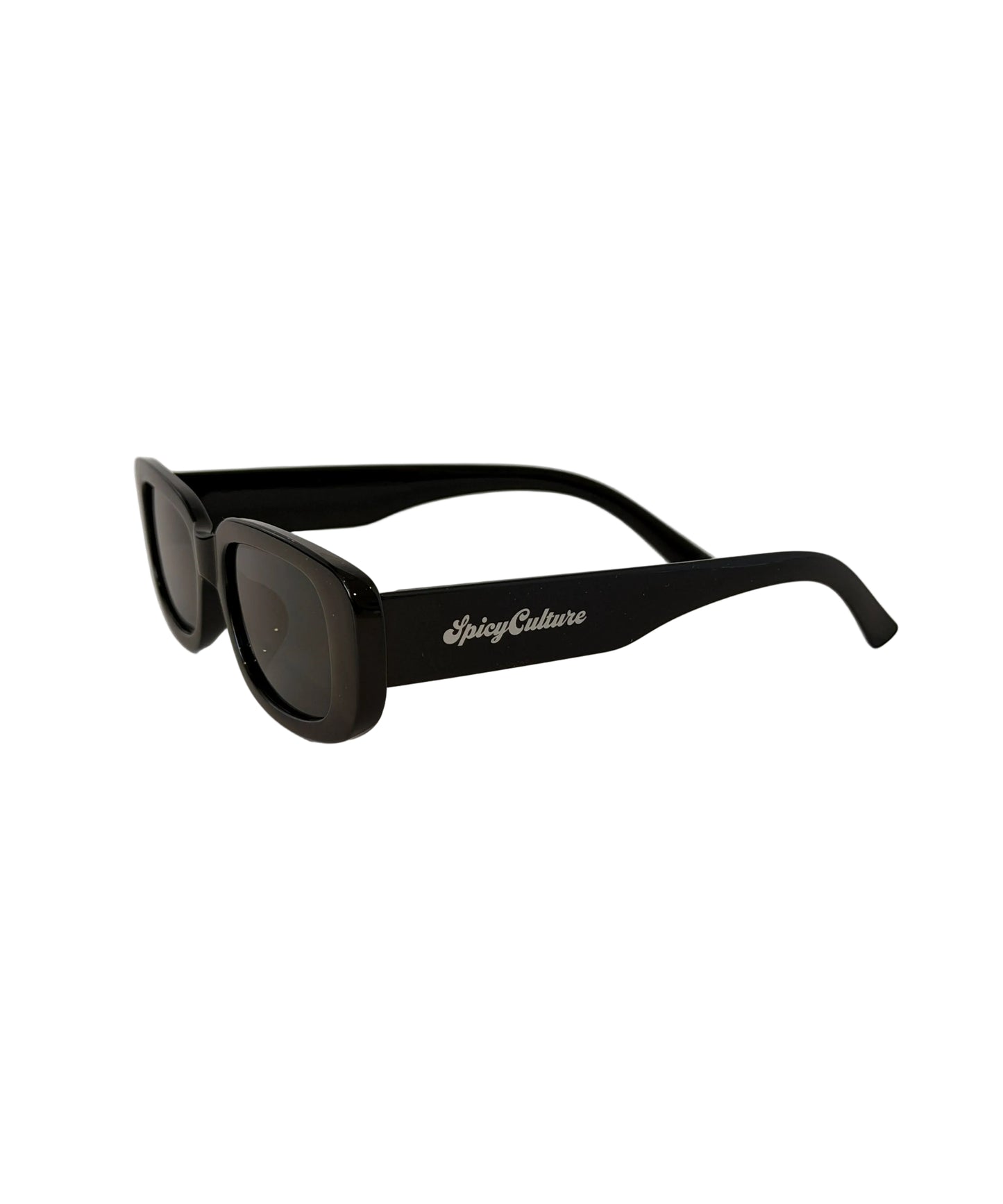 ICON SUNGLASSES (BLACK)
