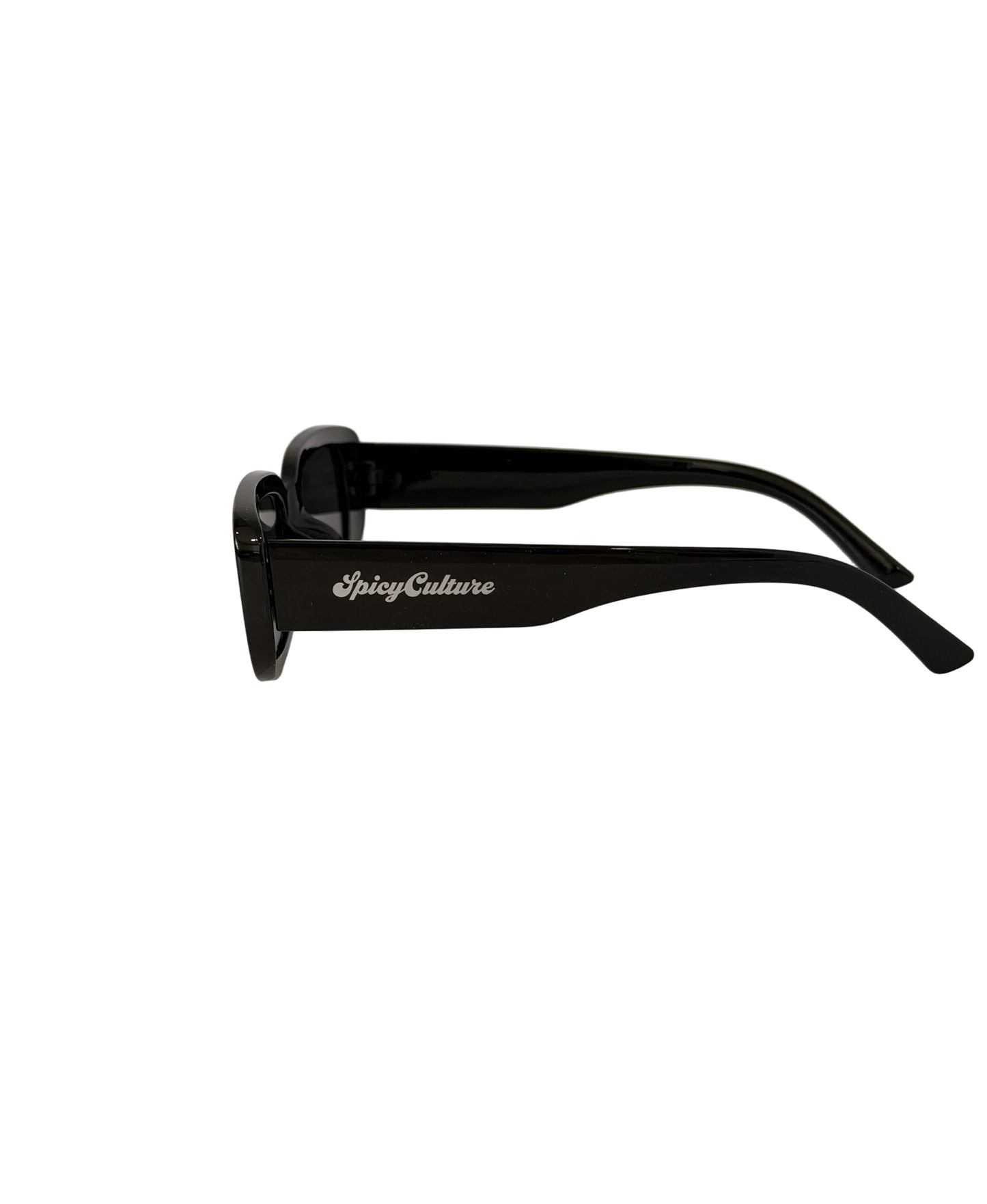 ICON SUNGLASSES (BLACK)
