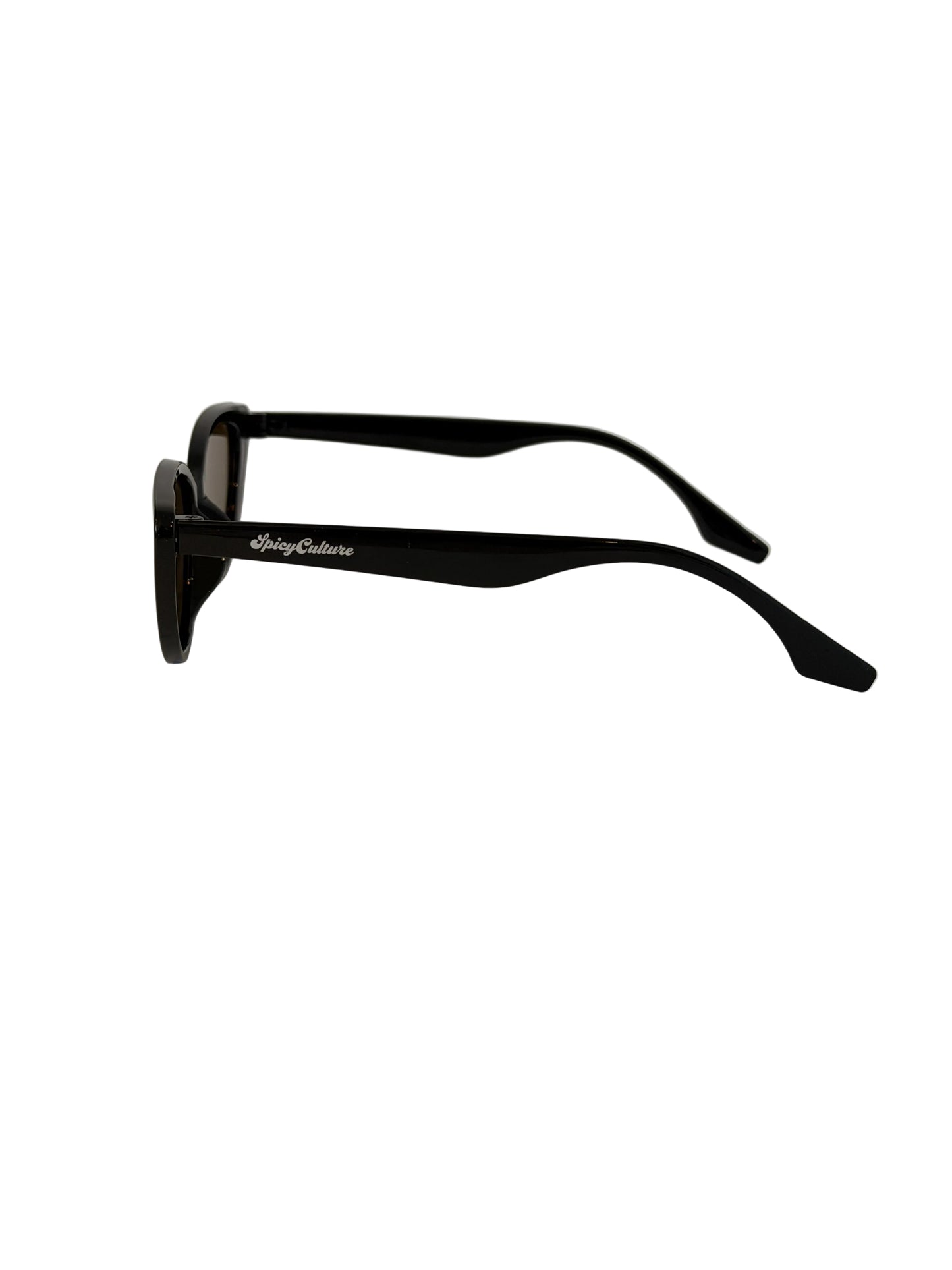 TEASE SUNGLASSES (BLACK/BROWN)